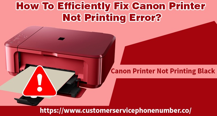 Canon Printer Not Printing 